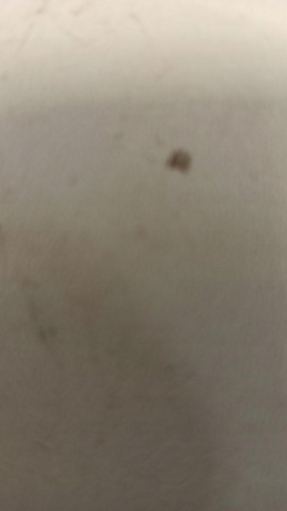 фото №5, Audi a6 a7 pas безопасности левый перед 4g8857705f