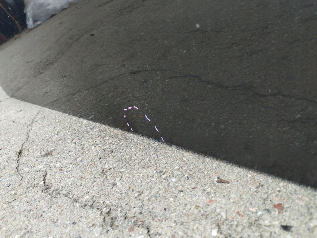 фото №6, Дверь правое перед bmw x1 u11