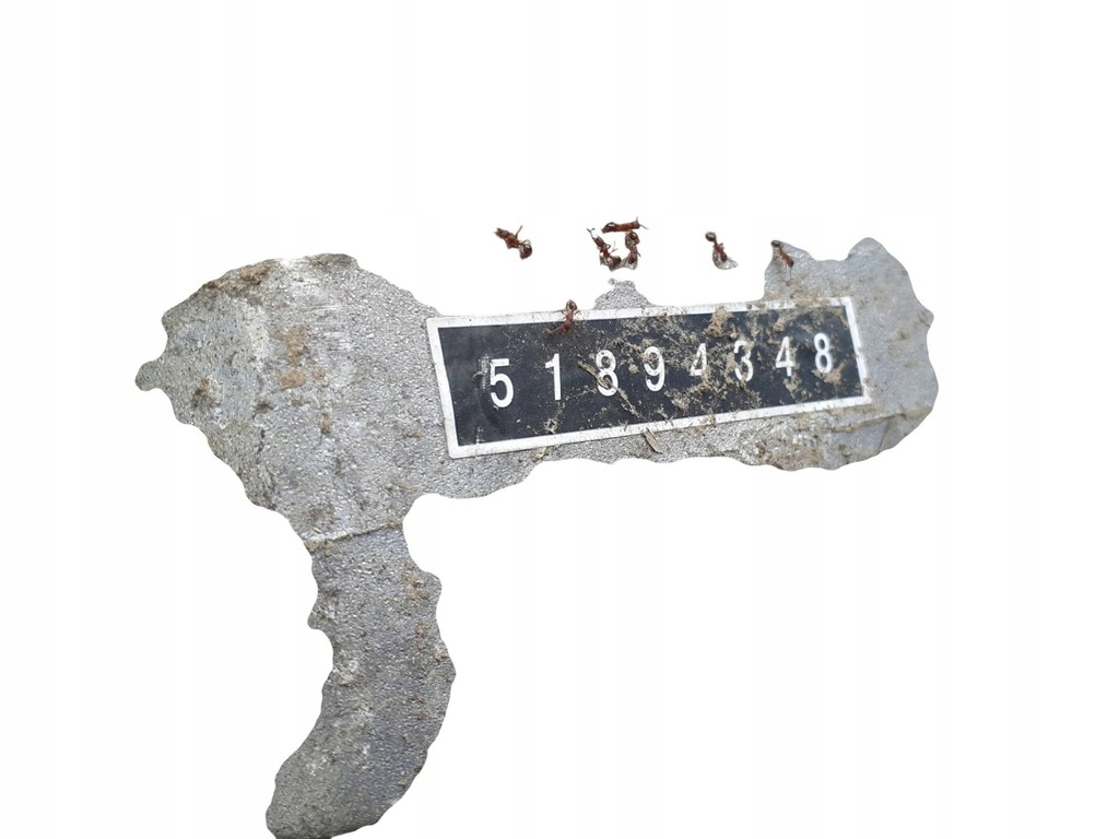 фото №2, Кронштейн двигуна alfa romeo giulietta 51894348