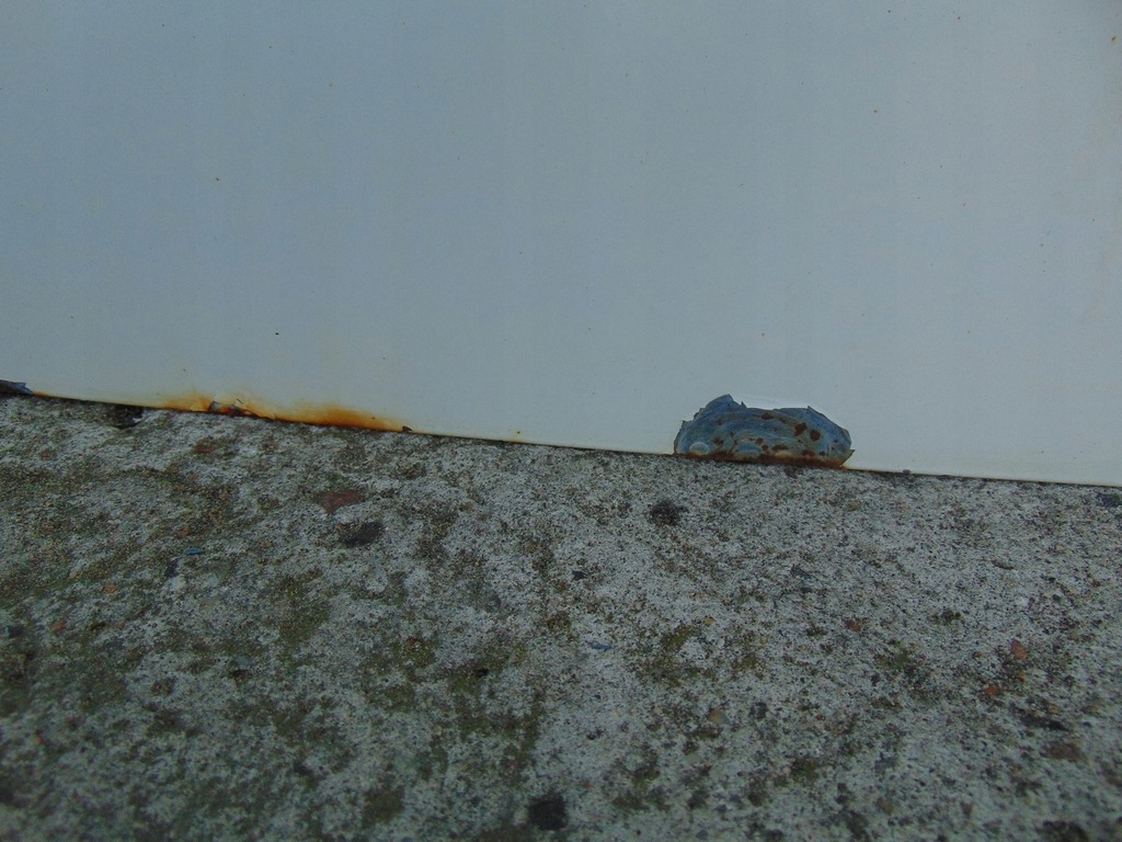 фото №9, Дверь правое задняя berlingo partner iii 2008- ewpa