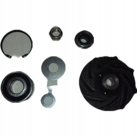 фото №1, Набор ремонтный насоса wody renault magnum major r