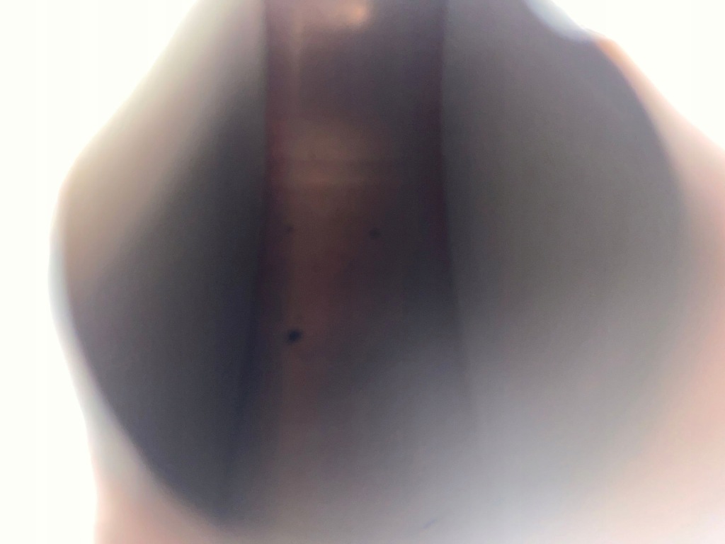 фото №13, 2022 jeep grand cherokee wl katalizator/dpf p68378100aa