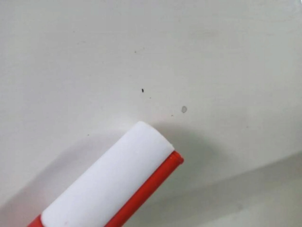 фото №5, Двері правий перед skoda rapid seat toledo lf9e