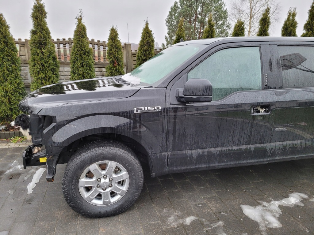 фото №3, Ford f150 f-150 дверь левый перед передние левая чёрные
