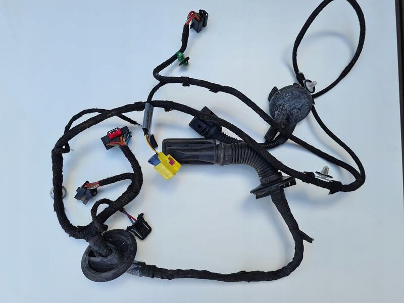 фото №1, Джгут двері оригінал audi a5 8t0971029a