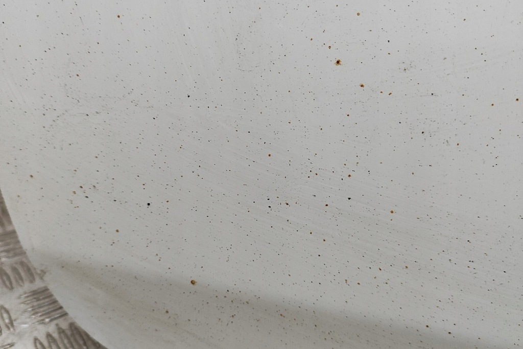 фото №7, Peugeot ion двері передні ліва 1607868780