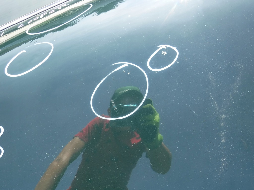 фото №4, Двері правий задня mini clubman f54