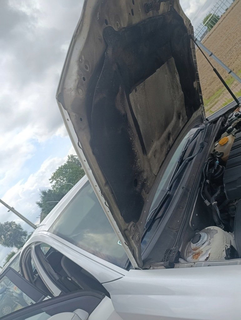 фото №6, Капот крышка двигателя opel vectra c 2005 1.9cdti