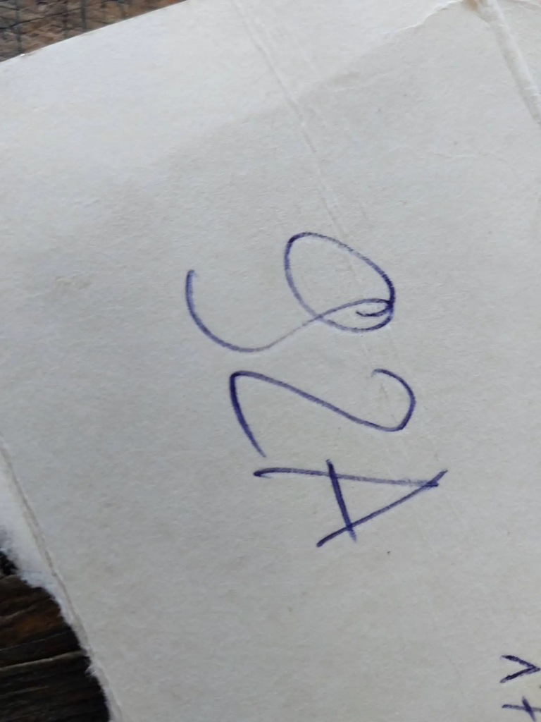 фото №10, Колесо зубчасте ланцюга розподільного валу bmw 3 e46 325ci m54b25 1719984