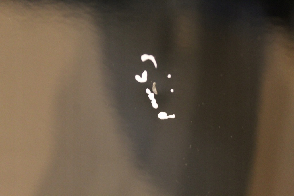 фото №13, Bmw 1 f20 f21 крышка багажника задняя багажника без оснащения bez стекло