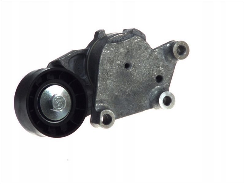 Snr ga359.00 ролик натяжителя, ремень клиновой wielor Оригинал