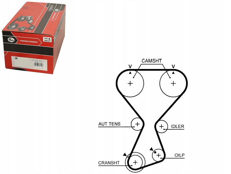 фото №1, Gates t313 ремень распределительного вала