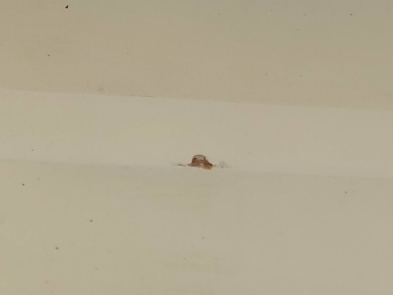 фото №9, Дверь обшивка правый задняя правое задние fiat grande punto хэтчбек 199_