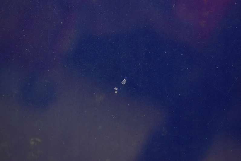 фото №7, Капот крышка двигателя niebieska fiat grande punto 05-12