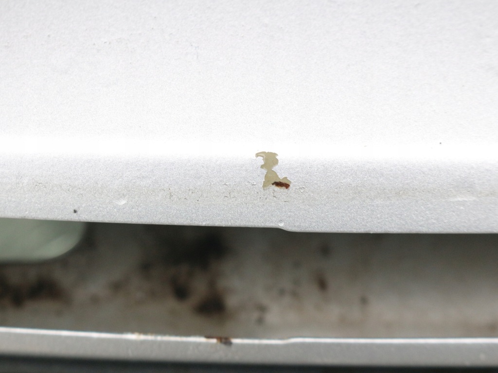 фото №4, Кришка багажника задня задня renault scenic ii ted69