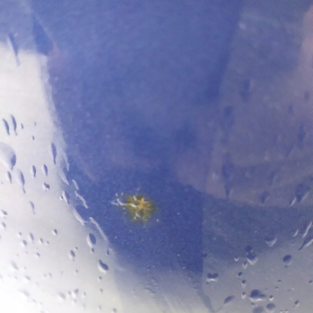 фото №6, Крышка багажника задняя задняя kia picanto