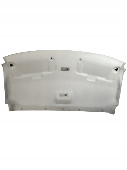 фото №1, Ford transit mk7 07r потолок