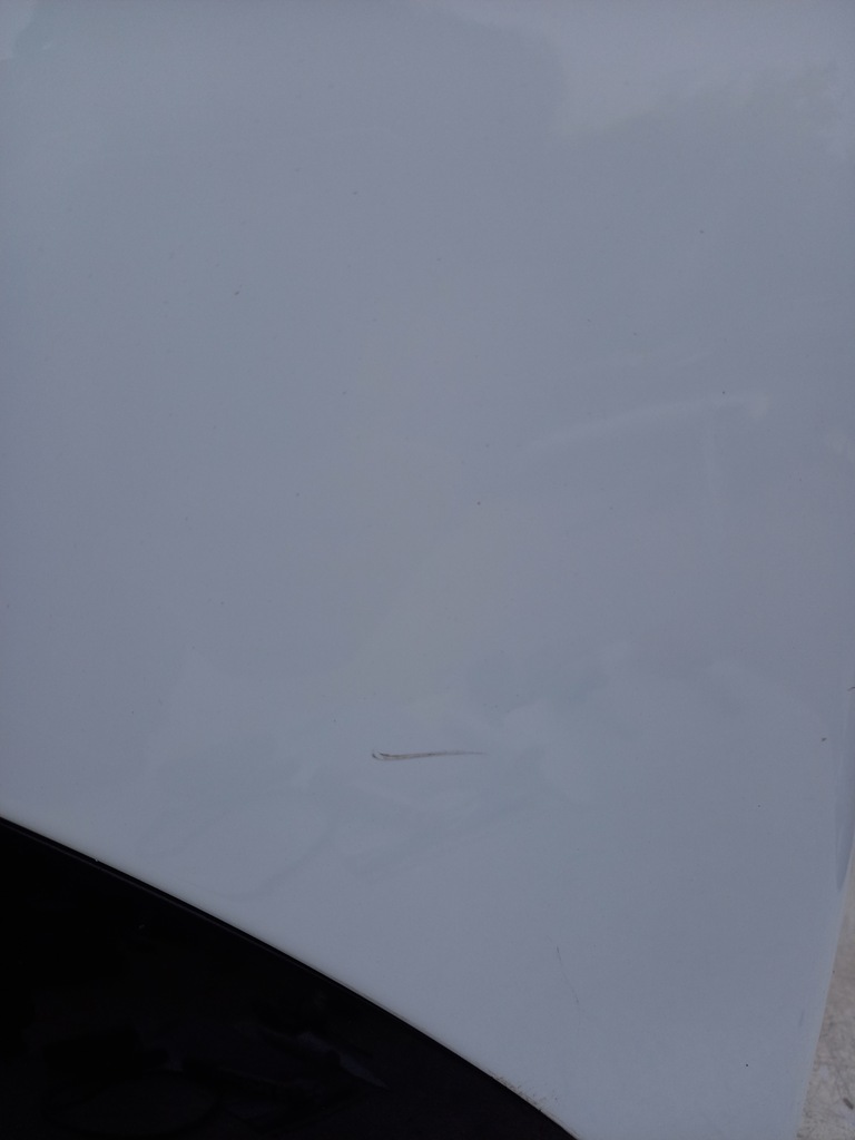 фото №6, Капот renault scenic iv 4