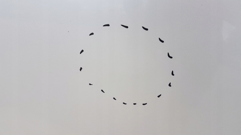 фото №7, Капот opel ampera chevrolet volt