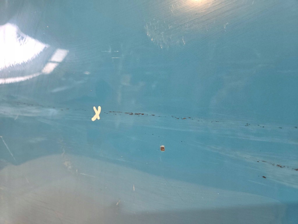 фото №6, Дверь левая передние hyundai kona 17-