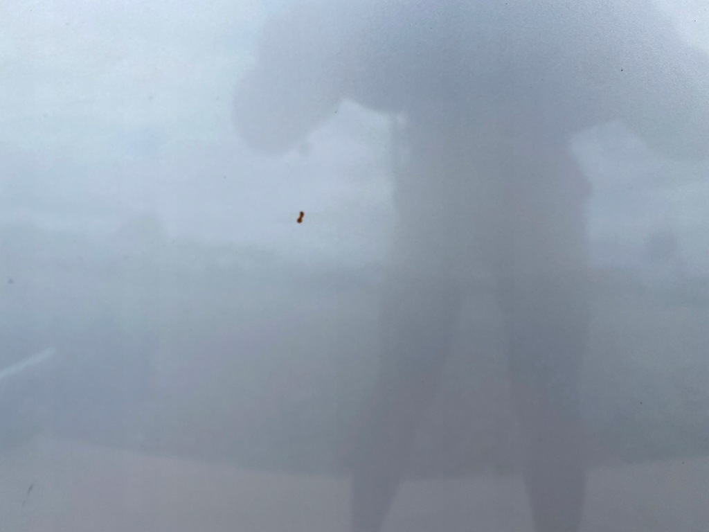 фото №4, Renault laguna ii крышка багажника капот передняя teb64