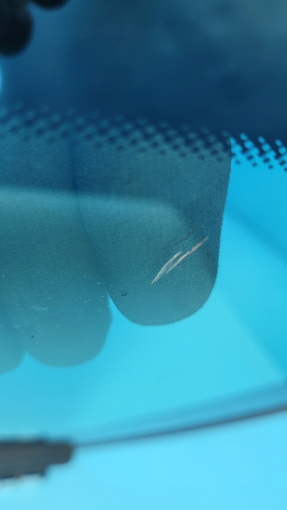 фото №8, Стекло кузовная правый задняя mercedes c w205 kombi