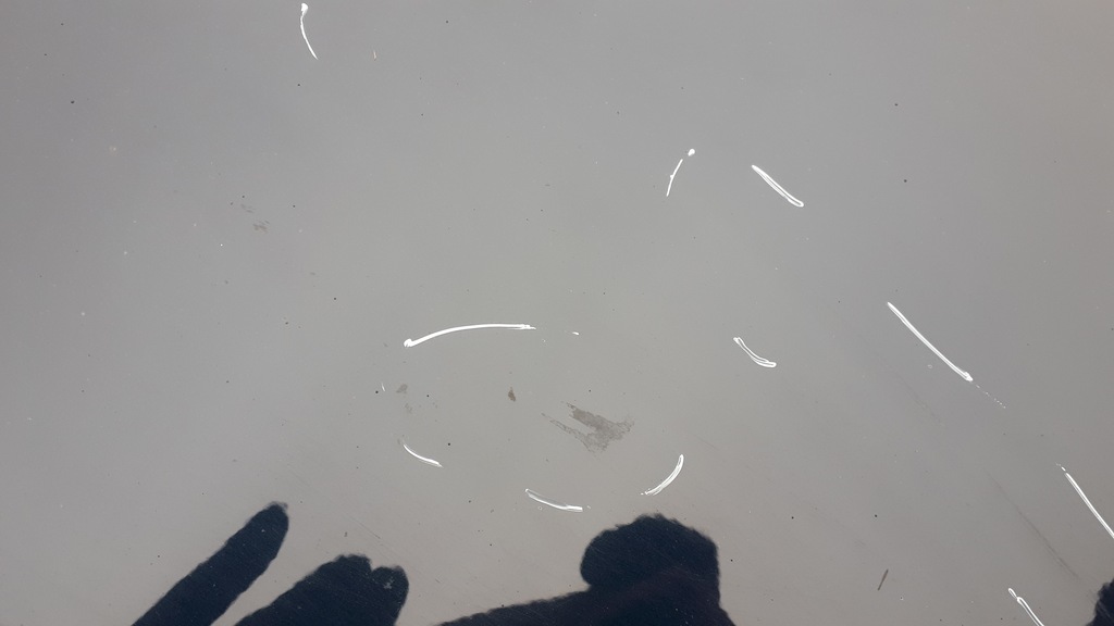 фото №7, A4 b8 s4 дверь левый задняя lz5a sedan 100-120um