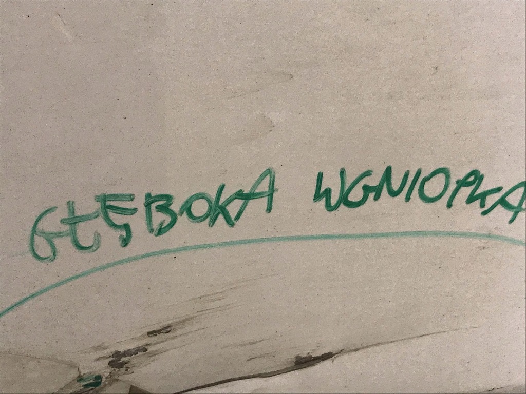 фото №12, Дверь задняя задние правое tesla y