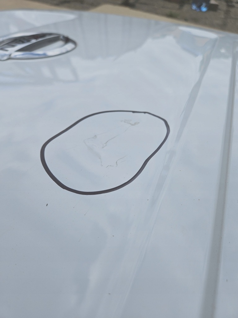 фото №10, Левая задние дверь nissan nv400 renault master iii 3 opel movano ii 2