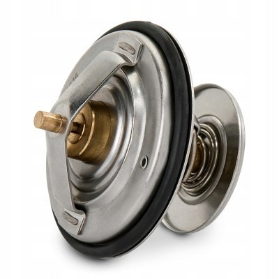 фото №3, Термостат ridex 316t0290