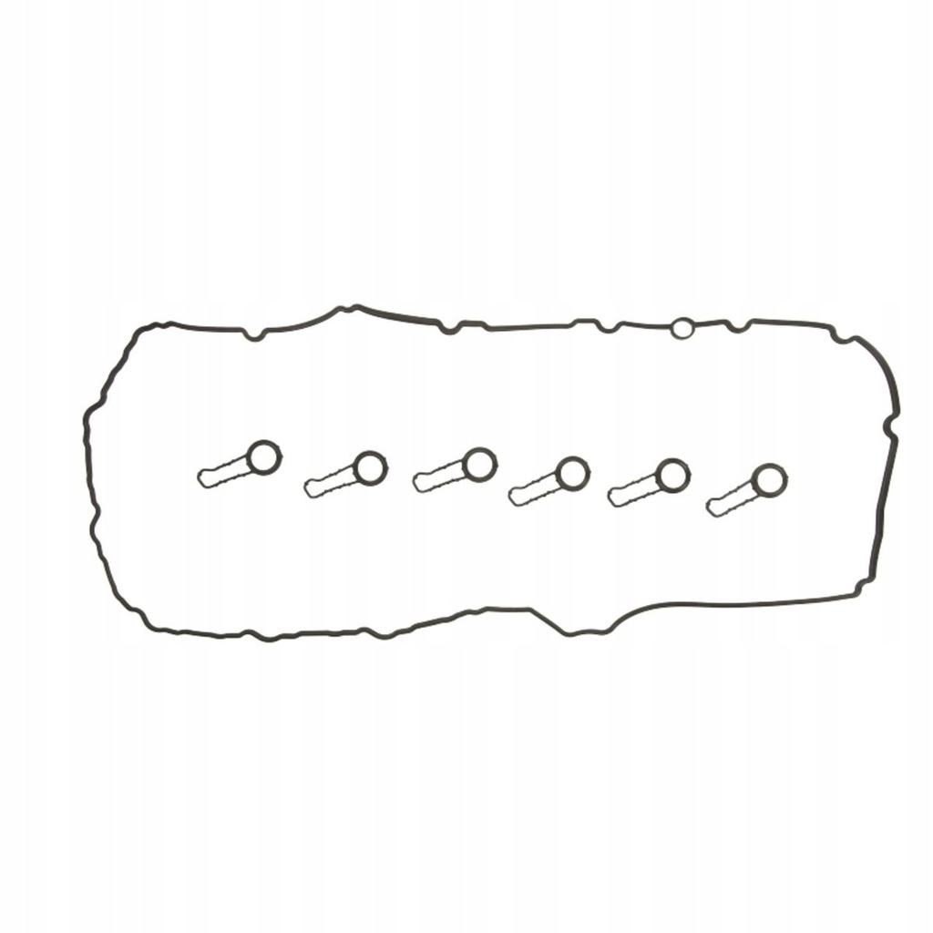 фото №1, Elring 255.130 набір прокладка, кришка головки циліндра