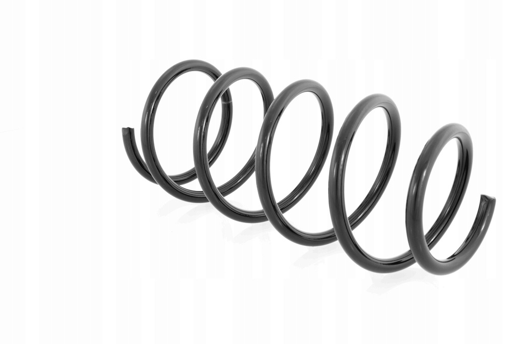 фото №9, Пружина перед renault kangoo