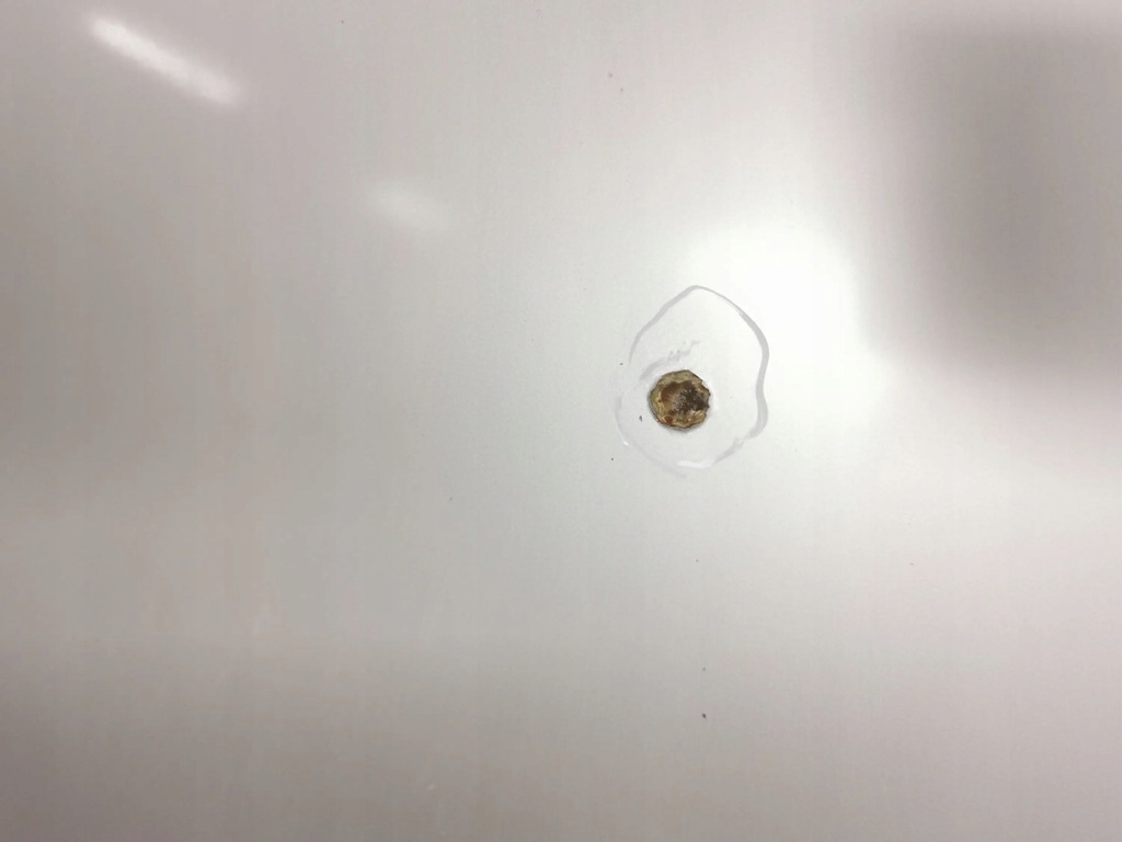 фото №5, Opel zafira a 2003 кришка передня / капот двигуна