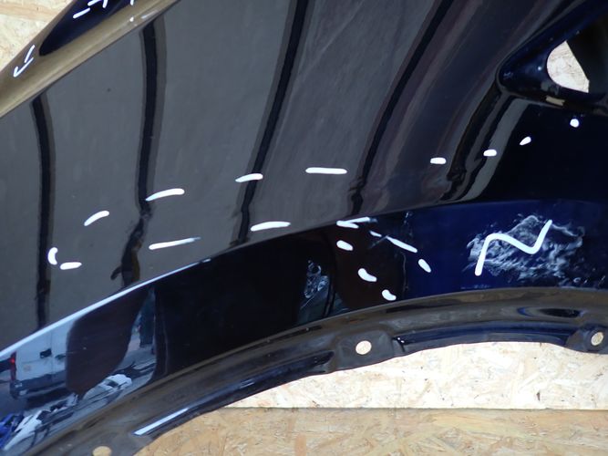 фото №8, Tesla y крила лівий передній перед