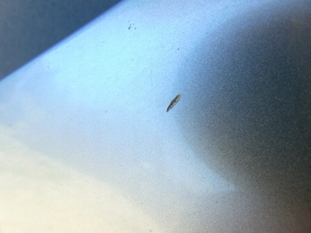 фото №7, Капот крышка двигателя audi q7 4l цвет ly7w