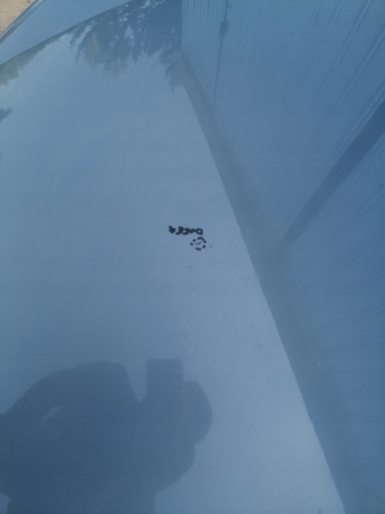 фото №8, Капот кришка двигуна ford s-max i mk1 06-10