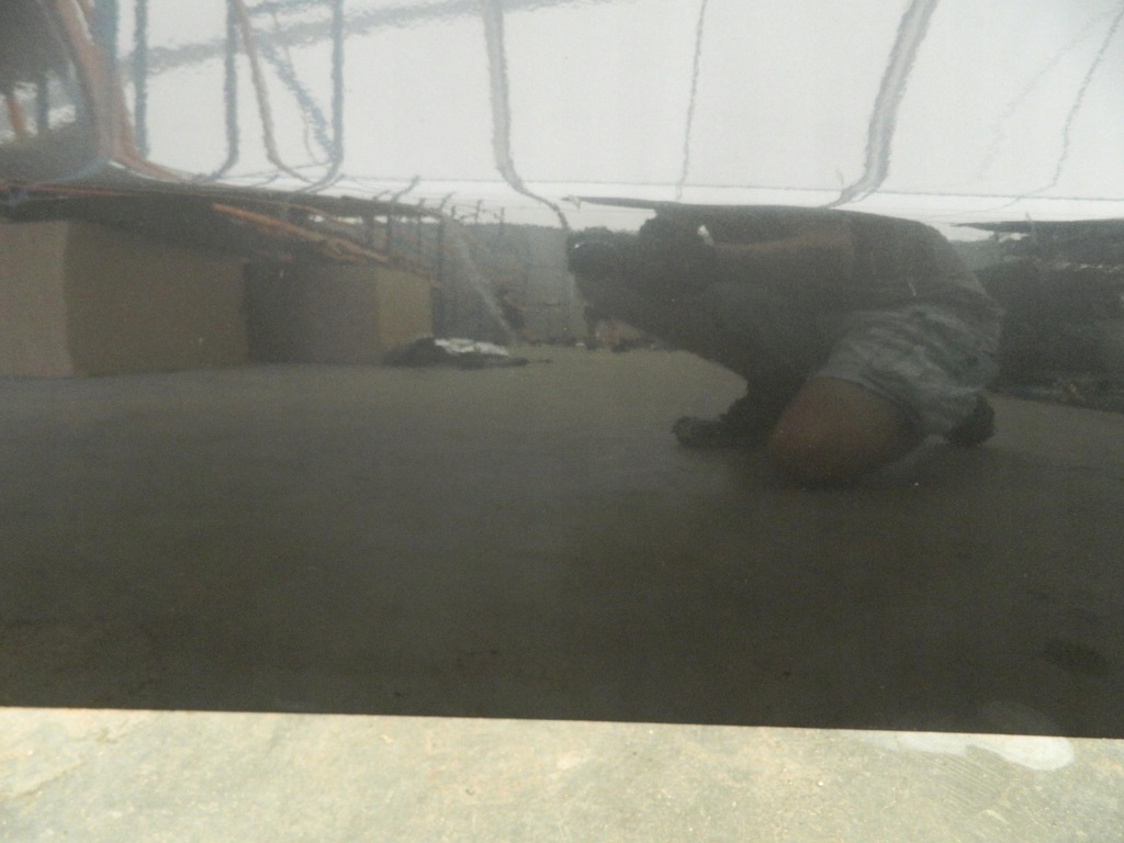 фото №7, Дверь боковой alfa romeo gt 2003-2010r. правое 639