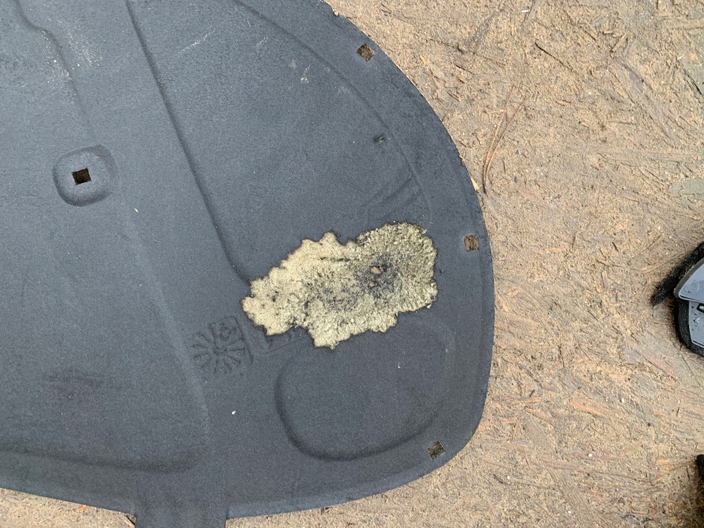 фото №5, Шумоізоляція капот skoda rapid