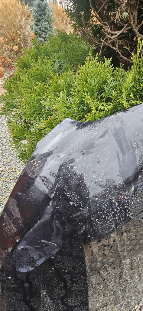 фото №5, Капот кришка двигуна volvo xc90 xc 90 ii 2