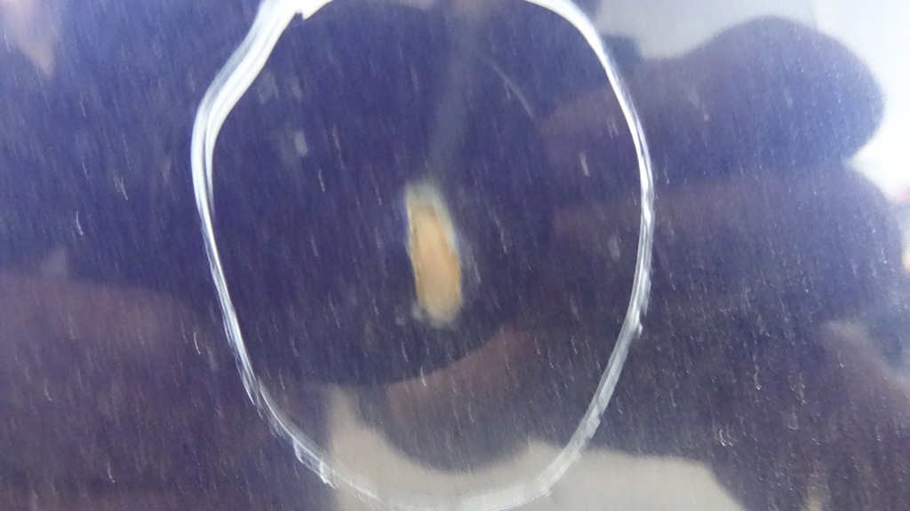 фото №9, Zafira a капот z282