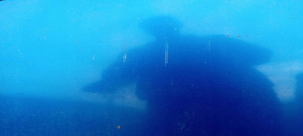 фото №3, Капот niebieska citroen berlingo i