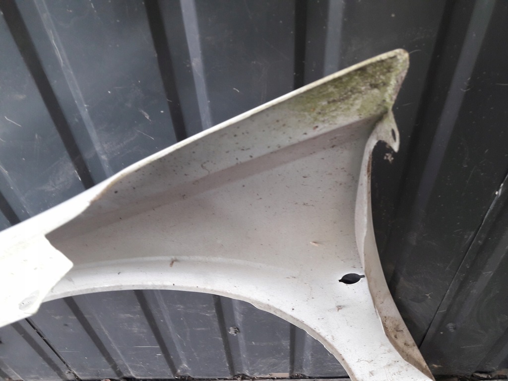 фото №13, Крила правий перед opel vectra c signum білий