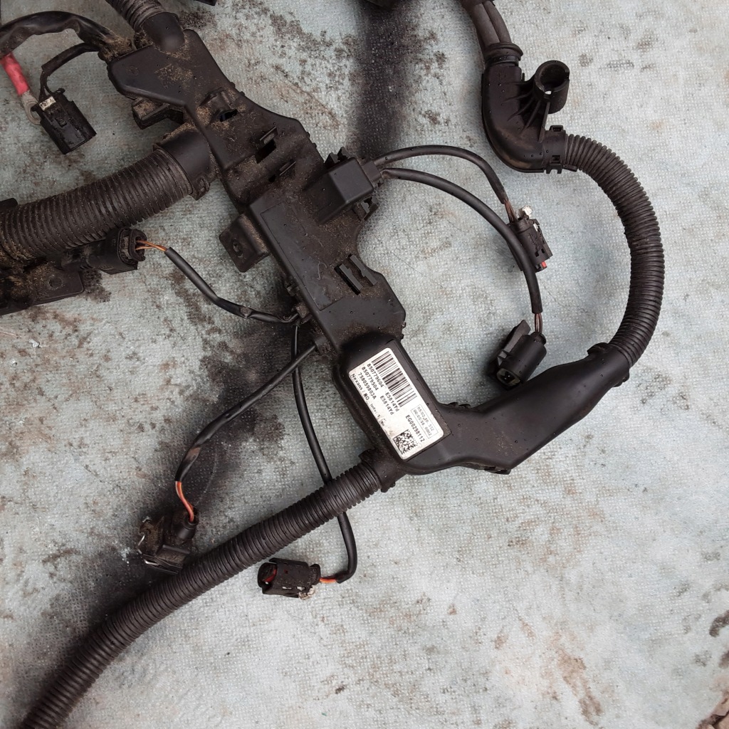 Джгут двигуна bmw e87 n47d20c 2012r 850779604 850779504 Зі Шроту