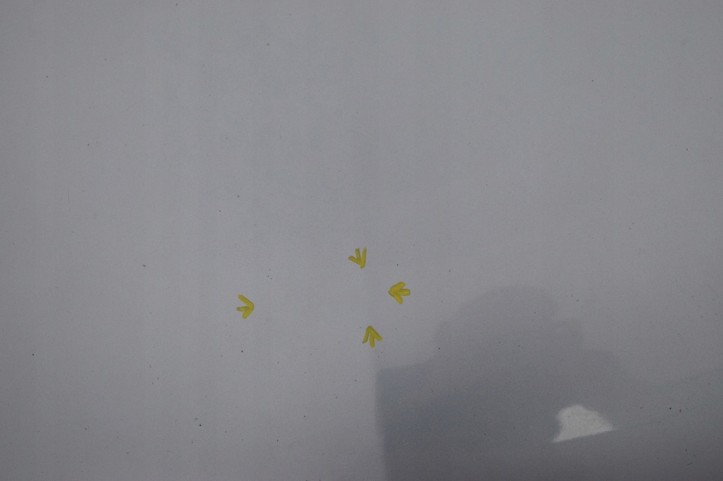 фото №4, Капот кришка двигуна mazda 6 ii