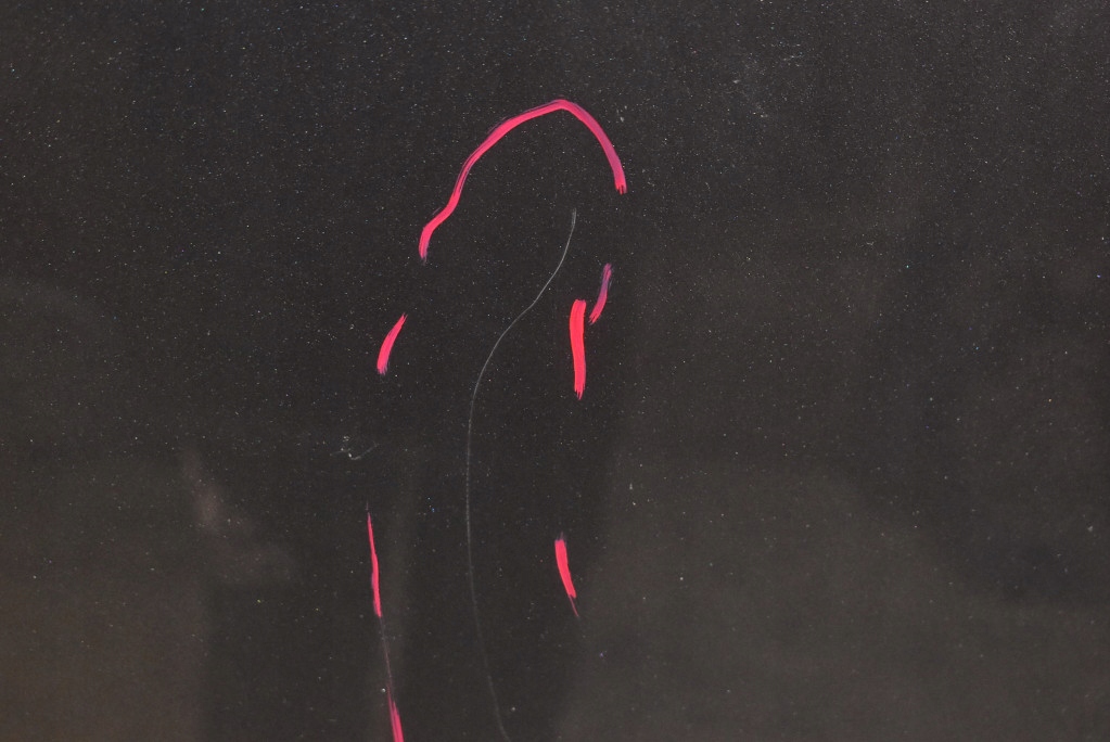 фото №8, Капот крышка двигателя графитовая audi q5 8r lift 12-17