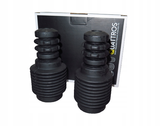 фото №1, Захист i відбійники перед do renault scenic