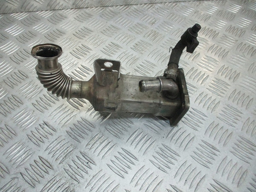 фото №1, Радиатор выхлопных газов renault grand scenic ii 1.9 dci 8200467059