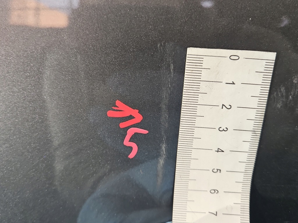 фото №8, Двері перед ліва renault scenic iii lift tekng