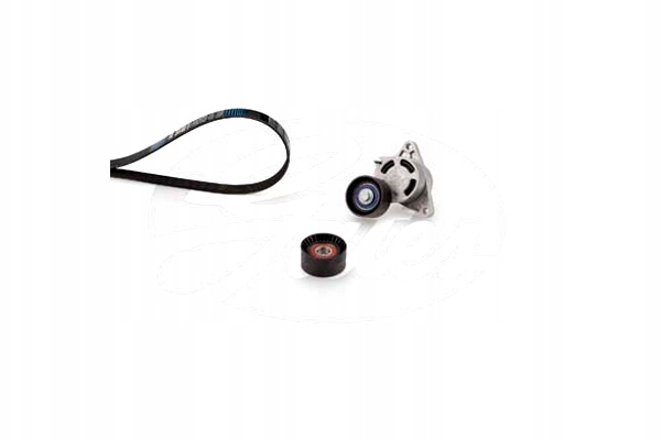 фото №2, Gates набор ремни многоручейковых с ролики nissan interstar opel