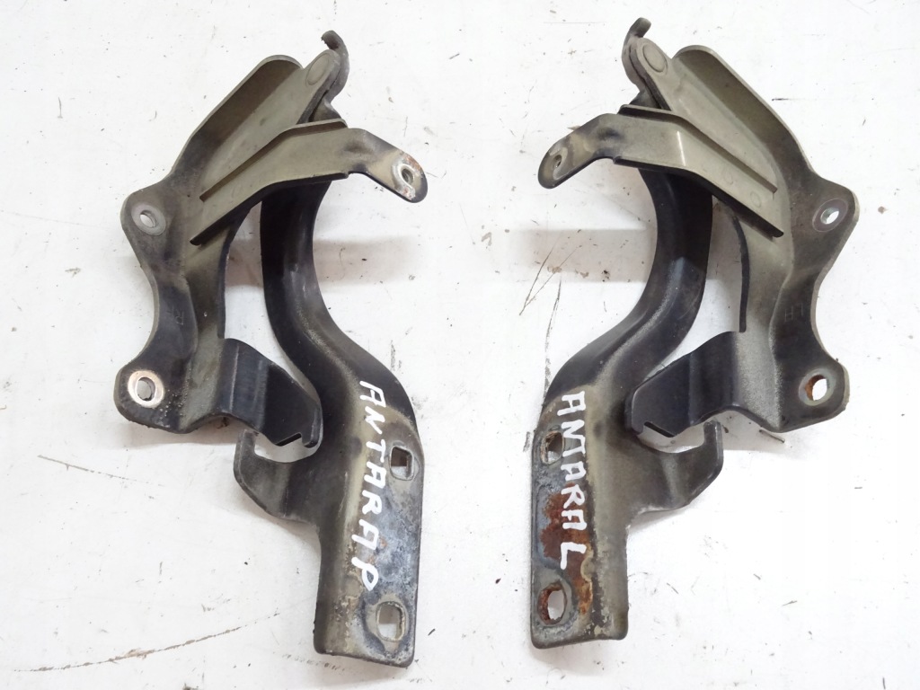 фото №2, Opel antara петлі капот gar